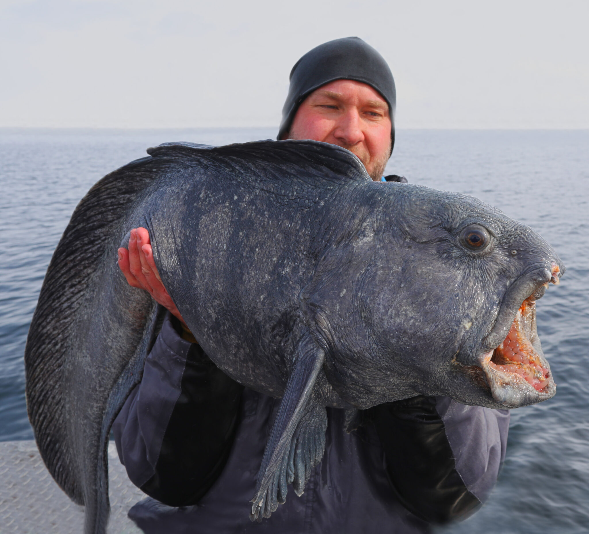 Fishing for big wolffish. Explore The Arctic